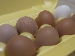 В Волгограде цены перестали бить по яйцам