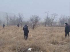 Человеческую ногу нашел прохожий в Волгограде