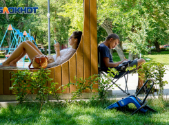 Волгоградским работодателям сообщили о субсидии при трудоустройстве молодежи