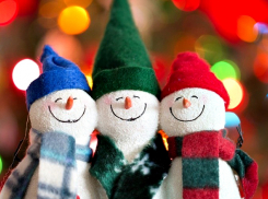 Волгоградцы признались, что делали на Новый год