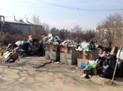 В Волгограде управляющую компанию девять раз оштрафовали за захламленные контейнерные площадки