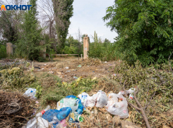 С платным входом для избранных: в Волгограде зарос мусором легендарный парк