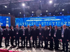 Цвет волгоградской политики отправили в Москву по важному поводу