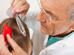 Активистка Елена Самошина распространяет слухи об эпидемии педикулеза в детсаду под Волгоградом 