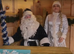 Дед Мороз с внучкой поздравили читателей «Блокнота Волгограда» с годом золотого поросенка