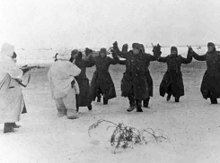 8 декабря 1942 года - в районе Сталинграда на сторону Красной Армии перешла часть немецкой дивизии