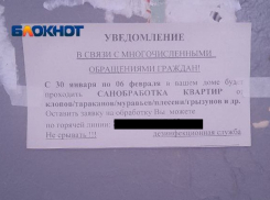 «Это чей-то тараканий бизнес?»: волна мутных объявлений захватила Волгоград
