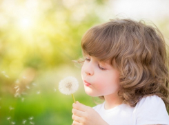 Топ-5 мест для посещения волгоградцам в День защиты детей