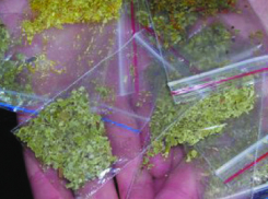 Троих волгоградцев осудили на 30 лет за торговлю спайсами