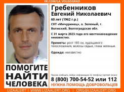 В Волгоградской области разыскивают мужчину с фамилией Гребенников 