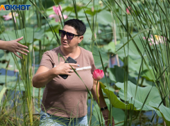 В Волгоградской области ожидаются сильный ветер и 40-градусная жара
