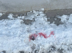 Смертельно опасный розовый снег заметили в Волгограде: лучше не подходить