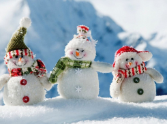 Снеговиков разных профессий покажут волгоградцам на новогодних праздниках