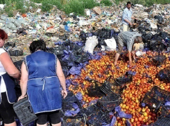 Санкционные продукты нужно не раздавать, а продавать, - волгоградский эксперт