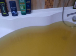 «Пусть чиновники ее прилюдно выпьют»: с вонючей водой вместо питьевой остался город под Волгоградом 