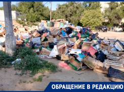 Волгоградцы боятся вспышки болезней из-за гниющего мусора в городе