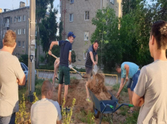 Выигранные деньги волгоградка потратила на посадку в городе деревьев