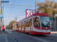 В привычный режим работы вернулся общественный транспорт Волгограда