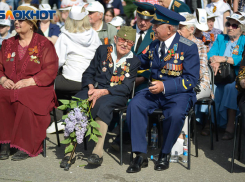 Не больше 5 тысяч рублей: ветеранов ВОВ и Сталинградской битвы решили поощрить в Волгоградской области
