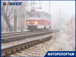 Морозная красота туманного ноябрьского утра Волгограда в объективе фотографа
