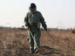 Под Волгоградом нашли 450 неразорвавшихся снарядов