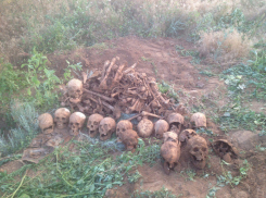 В Волгограде мародеры разворотили захоронение советских воинов
