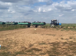Мигрантов вывезли на прицепах-зерновозах с волгоградских полей —  видео 