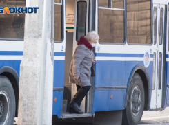 Волжане и волгоградцы ополчились на активистов за идею заменить маршрутки №160 и 260 троллейбусами