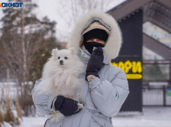 Скромный снегопад, скользкие дороги и геомагнитная встряска: погода в Волгограде на 21 января