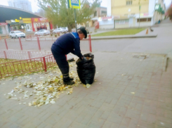 «Бессмысленно и затратно»: волгоградец раскритиковал уборку листьев в городе