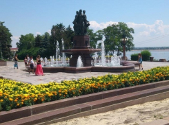 Можжевельник и черемуха украсят центральную набережную в Волгограде  