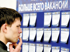 На рынке труда Волгограда ситуация стабильна