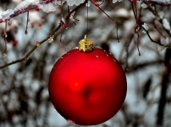 Волгоград встретит Старый Новый год с морозцем и снегом