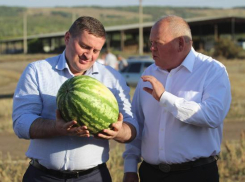 Экс-мэр Роман Гребенников считает, что Бочаров заслуживает отставки