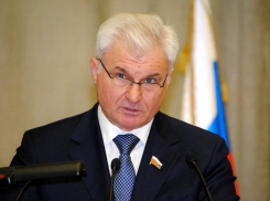 Депутат Госдумы не сошелся мнениями с командой волгоградского губернатора