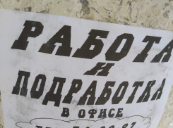 Назван топ-5 самых высокоопачиваемых вакансий Волгограда в августе 