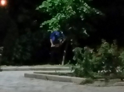 Эксгибициониста сфотографировали волгоградцы в сквере на севере города