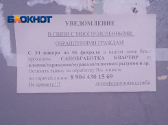«Это чей-то тараканий бизнес?»: волна мутных объявлений захватила Волгоград