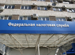 На новогодних каникулах более тысячи волгоградцев перешли на новый налоговый режим