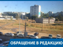 Озеро с утками и черепахами  затянуло фекалиями на западе Волгограда