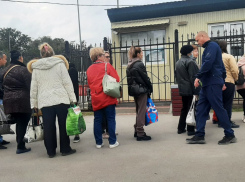 Облздрав прокомментировал попавшую на видео скандальную очередь у больницы №25 в Волгограде