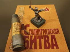 В Волгограде стартует отбор 200 добровольцев со всего мира