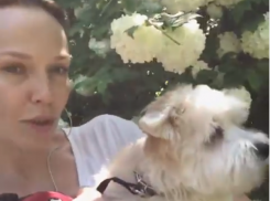 Альбина Джанабаева показала говорящего пса