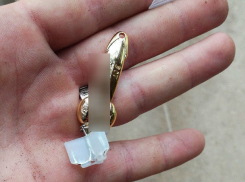 Блесна в форме мужского полового органа набирает популярность у волгоградских рыбаков