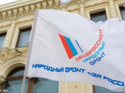 Соучредителя регионального ОНФ взяли под стражу в Волгограде