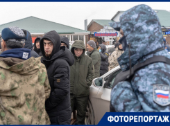 «Они подчиняются только президенту»: предновогодний рейд по мигрантам навел шума на рынке в Волгограде