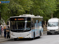 Десять важных транспортных маршрутов не запустили в Волгограде