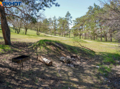 Чиновники рассказали, как будут предотвращать пожары в Волгоградской области 