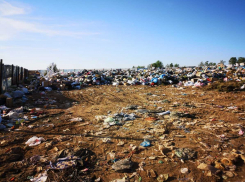 Приехали спустя два часа: волгоградский активист возмутился бездействием спасателей при пожаре на свалке