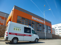 Дмитрий Медведев подписал распоряжение на поставку в Волгоград школьных автобусов и карет скорой помощи